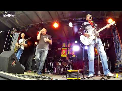 The Dilemma performing at Twyfest 2025