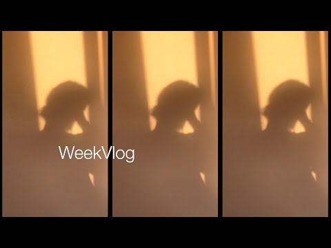 WeekVlog#1