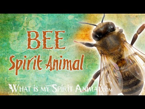 download lagu mp3 mp4 Bee Angel Message, download lagu Bee Angel Message gratis, unduh video klip Bee Angel Message