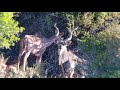 Baviaansriver Conservancy Free Range Hunting Crusader Safaris