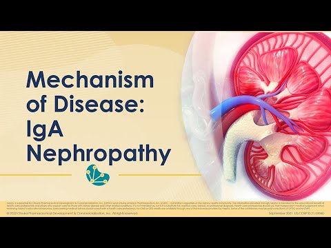 Mechanism Of Disease   Youtube Snippet