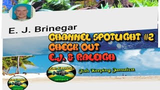 Channel Spotlight #2