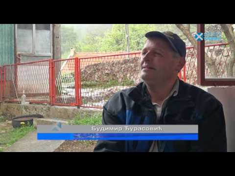 Zemljom Hercegovom: Bukorići i Bišina