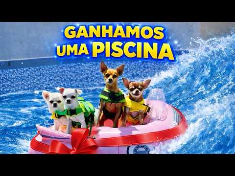 A BIG PISCINA ERA PRESENTE… ATÉ OS CACHORROS PULAREM NELA! 😱💦🐶