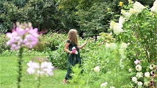 Easy Cut Flowers to Grow from Seed // Northlawn Flower Farm