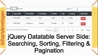 Download the video "jQuery DataTable Server Side Searching, Sorting, Filtering, and Pagination #biharideveloper"