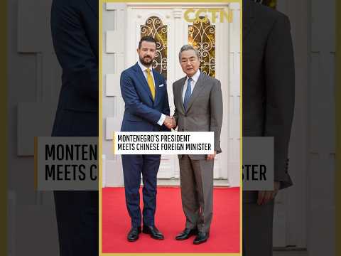 Montenegro's president meets China's foreign minister