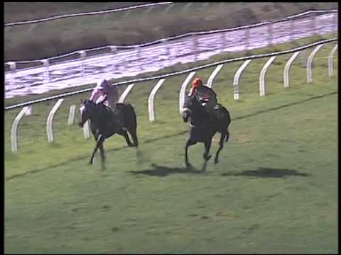 Galoppo 18/01/2015 - 6° corsa