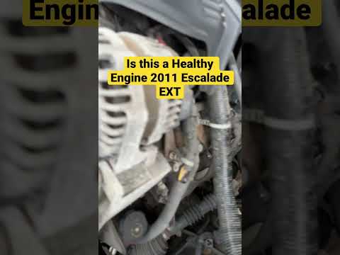 Thumbnail for Is this a Healthy Engine on a 2011 Escalade EXT #shorst #mechanic #cadillac #escalade #suv #engine by SUV, Cadillac