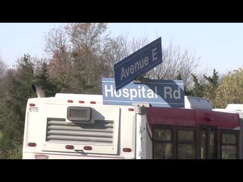 Another Coyote Attack