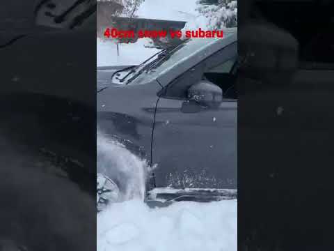 40cm snow vs subaru