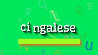 How to say cingalese! (High Quality Voices)