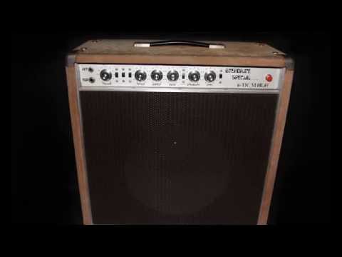 JAM Pedals WaterFall Chorus / Vibrato into a 1977 Dumble Overdrive Special