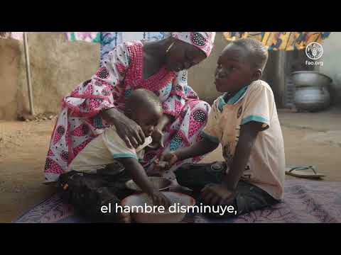 Fotograma del vídeo: Año Internacional de la Agricultora 2026