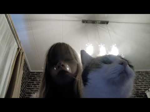 i could have my gucci on