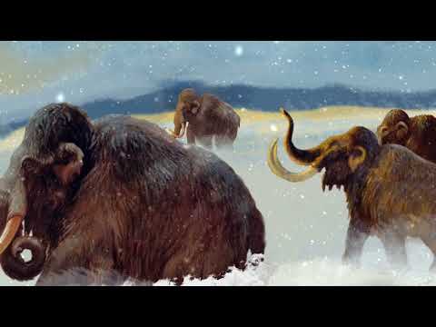 K9, the Silent One - Woolly Mammoths (feat. Soec Liquore)