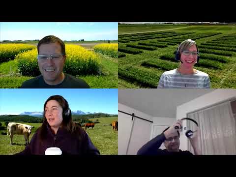 Wheat Stem Sawfly management for 2021