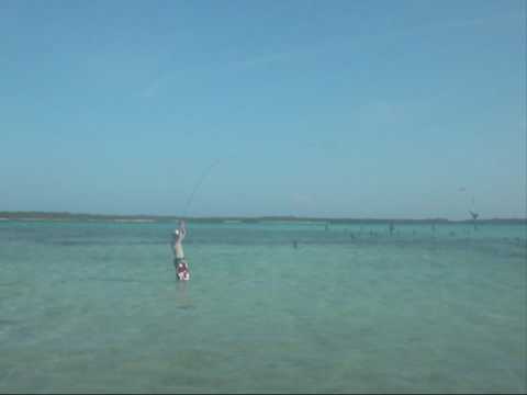 Los Roques