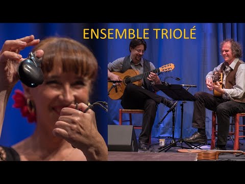 Außergewöhnliches Musikprogramm mit dem Ensemble Triolé