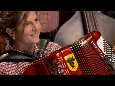 Toni's Freud Alois Föhn,  Ländlerquartett Bürgler-Gisler-Hess