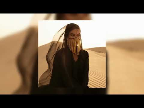 📹Busta Rhymes, Sherine - Sabri Aleel x I Know What You Want (TikTok remix) →