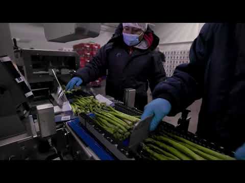 2025 Mile High Open - LPRT - Doubles - Qtrs -- Mendez/Laime vs Rajsich/Munoz