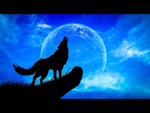 Worldwide Howl at the Moon Night | Wolves Howling at the Moon