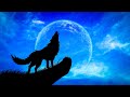 Worldwide Howl At The Moon Night Wolves Howling At The Moon
