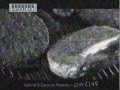 ICELAND Old TV Advert From The 1990 S
