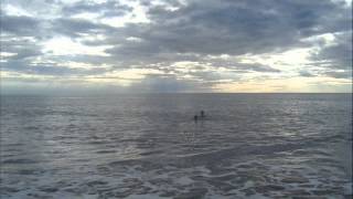 LLOVIZNA Fernando Delgadillo