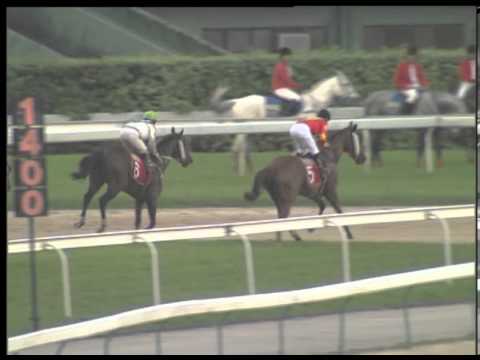 The Macau Gold Cup Gr 1    Lucky And Wealthy trained by Geoff Allendorf 1st ridden by Joe Moreira
