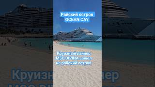 Райский остров OCEAN CAY #oceancay #mscdivina #umarkeyn #cruise #4k #caribbean #bahamas