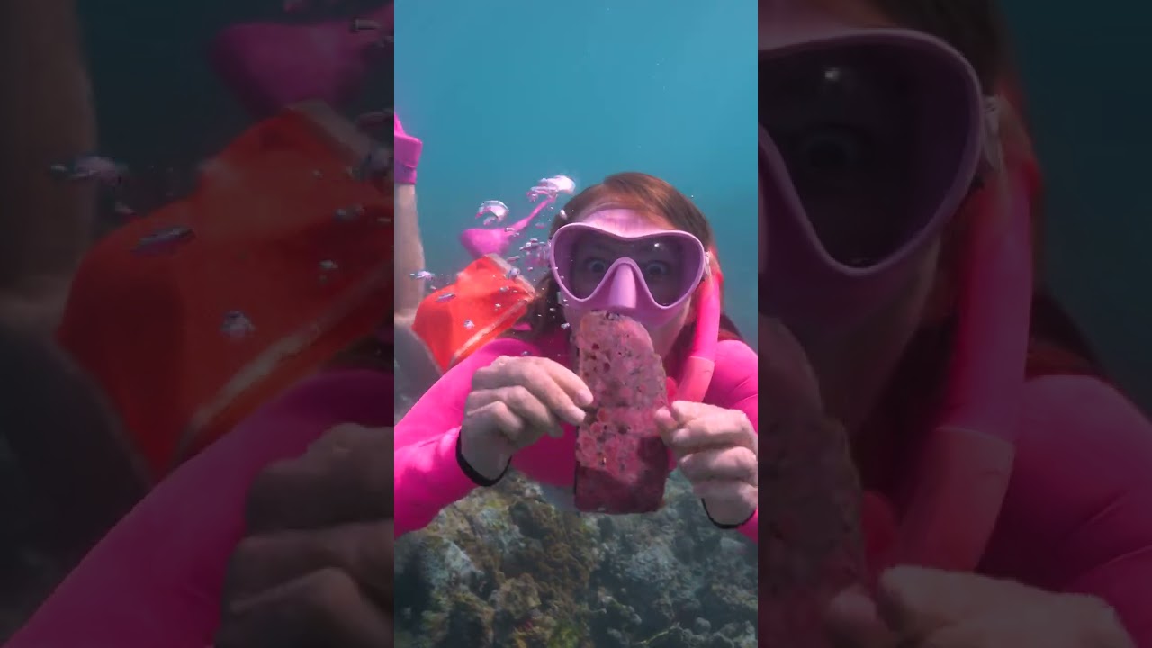 Wow! Wild Underwater Discovery!