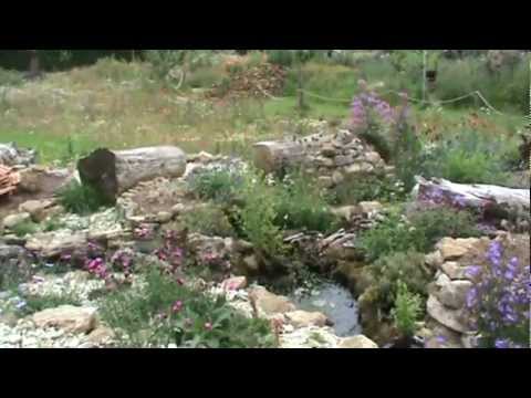 Hortus Insectorum Magerkeit schafft Vielfalt