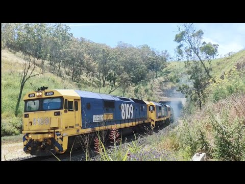 8109 8137 8125 8128 Pacific National Crawfords Container Train at Ardglen Tunnel 18-12-2022