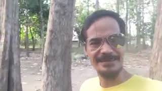 Download lagu 🔴 Mat Ordul || Nyapo Kerjo Koyo Wong Tipis Wae mp3 Download lagu 🔴 Mat Ordul || Nyapo Kerjo Koyo Wong Tipis Wae mp3