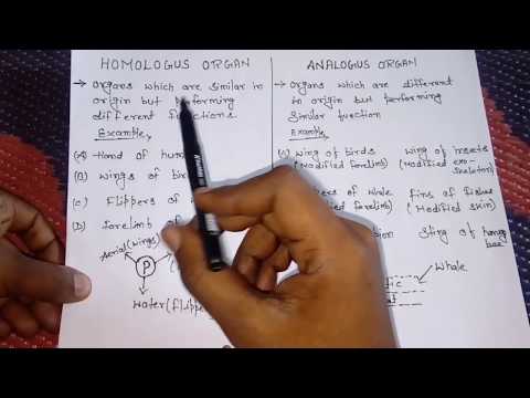 Homologous Organ and Analogous Organ|Easy explanation|Hindi