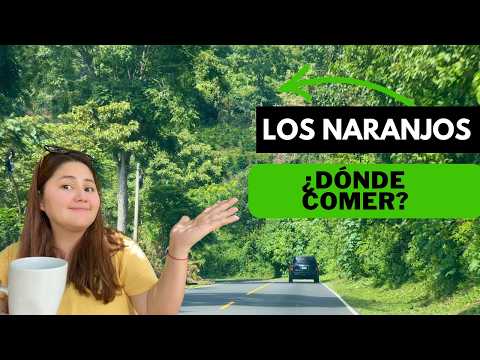 Los Naranjos Gastronomic Route, Top 5 Restaurants with Panoramic Views