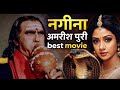 Nagina Full Movie Amrish Puri Sridevi Superhit Bollywood Movie