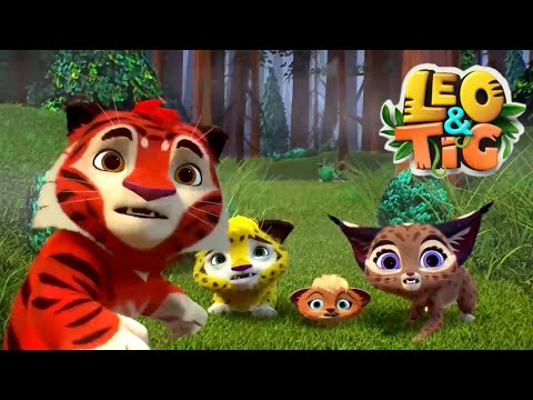 Leo and Tig 🦁 The Red Deer 🐯 Favorite episodes 🦁 Funny Family Good Animated Cartoon for Kids
