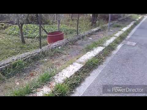 Bellegra 2019 I paesaggi del degrado ambientale.