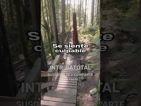 MI CUÑADA nos MINTIÓ sobre un ESPOSO VIOLENTO para VIVIR GRATIS y ARRUINÓ NUESTRAS VIDAS