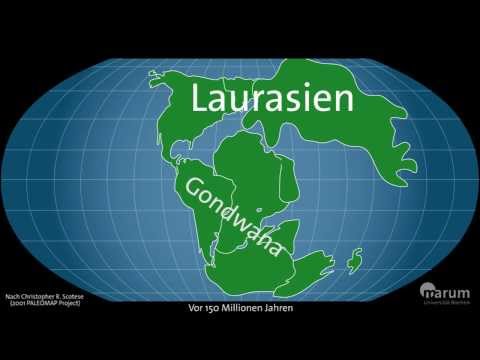 Wandernde Kontinente - Plattentektonik im Zeitraffer