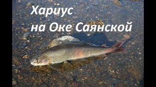 Ссылка