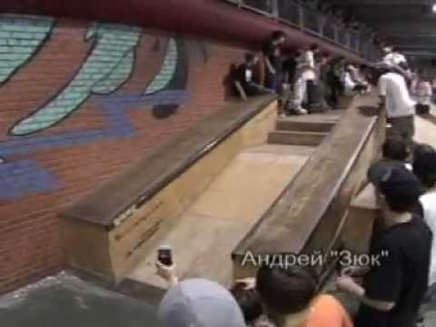 Iguana  jam session.