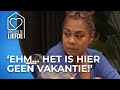 Is Peer hier alleen maar voor een VAKANTIEFLIRT? ? | Lang Leve de Liefde #AFL207