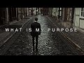 Purpose Sad Multifandom