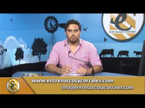 Programa Entre Surcos y Corrales - Lunes 06-02-2017