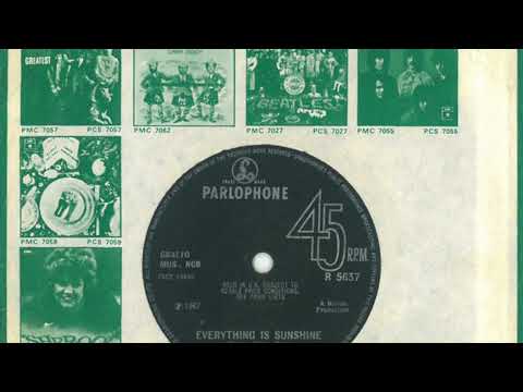 The Hollies – Everything Is Sunshine