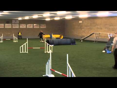 Starta aldrig innan domaren blåst!